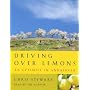 Driving Over Lemons: An Optimist in Andalucia