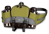 High Sierra Arroyo Waistpack