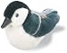 Audubon Birds: White-breasted Nuthatch
