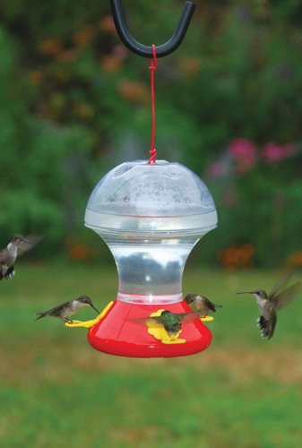 Songbird Essentials SEBCO352 Hummingbird Bird Feeder