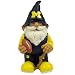 MICHIGAN WOLVERINES OFFICIAL GOOD LUCK MINI GARDEN GNOME