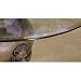 45 - 54 Round Glass Table Top with Beveled or Wave Edge