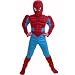 419EvH9zC1L. SL75  Muscle Spiderman Party