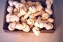 25 pcs of 5-6" White Rawhide Knotted Bones