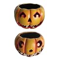 Halloween Pumpkin Collection
