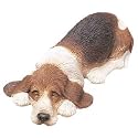 Basset Hound Lying