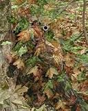 Sneaky Leaf Camouflaging System