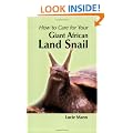 How to Care for Your Giant African Land Snail (Your first...series)