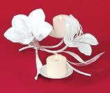 Pack of 2 Lime Candle Holders