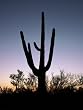 Desert Sunset in Arizona - Splendid Photographic Print by Carol M. Highsmith