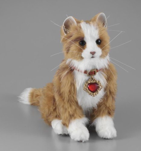 Cover image : 首輪でおしゃべり 夢ねこハート