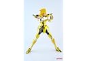 Galactic Nebula Ex Myth Cloth Aquarius Camus Saint Seiya figure + Hyoga head