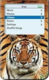 Tiger - Apple iPod video 30GB Hard Case iJacket - Shock Absorbent Hard Protective Faceplate Cover + FREE iPod video Screen Protector Shield