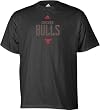 Chicago Bulls Ziggy T-Shirt