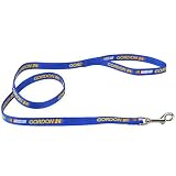 Pit-Stop Pets Jeff Gordon 1" Dog Leash