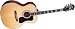 Guild F50R Vintage Jumbo Acoustic-Electric Guitar With D-Tar Pickup And Case, Antique Burst