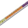 Full of Sparkle 15.00 carats total weight Princess Cut Rainbow Multi Gemstone Tennis Bracelet in Sterling Silver
