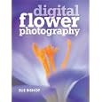 Digital Flower Photography