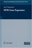 HOX Gene Expression