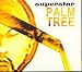 Palm Tree