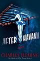 After Havana: A Novel