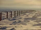Wire Fence in a Winter Landscape Premium Photographic Poster Print by Bobby Model, 18x24