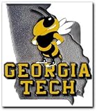 Class III Hitch Cover 2, Georgia Tech Yellow Jackets