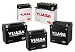 Yuasa AMG Battery (Maintenance-Free) YT14B-BS YUAM624B4
