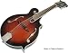 Musical Instruments : Legacy Plus Hickory Sunset Finish