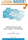 Particle Physics and Cosmology: The Interface: Proceedings of the NATO Advanced Study Institute on Particle Physics and Cosmology: The Interface ... II: Mathematics, Physics and Chemistry)