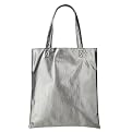 Hollywood Intuition Mag Bag - Silver