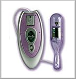 Lavender 5 Speed Pretty Pastels 2 1/2 Inch Massager