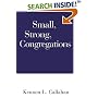 Small, Strong Congregations: Creating Strengths and Health for Your Congregation