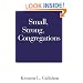 Small, Strong Congregations: Creating Strengths and Health for Your Congregation