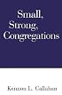 Small, Strong Congregations: Creating Strengths and Health for Your Congregation