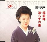 越前岬/遣らずの雨