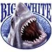Big White-Shark Adult T-Shirt