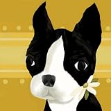 Oopsy daisy Bea the Boston Terrier Wall Art 10x10