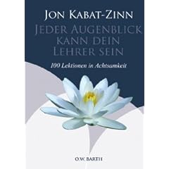 Jeder Augenblick kann dein Lehrer sein: 100 Lektionen in Achtsamkeit