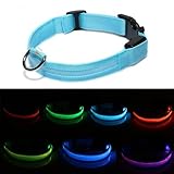 SODIAL(R) Pet Dog Puppy Cat Kitty LED Flashing Light Collar Multicolor Adjustable S