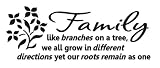 Family like branches on a tree Vinyl wall lettering stickers quotes and sayings home art decor decal