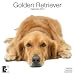 golden_retriever15golden retriever - Golden Retrievers 2010 Wall Calendar AP30464