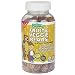 L'il Critters Fruit & Veggie Bears Children's Vitamin Supplement - 200 Gummy Bears