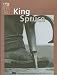 King Spruce