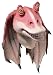 Star Wars Jar Jar Binks Mask