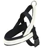 Trixie 20562 Premium Reflect Geschirr, M-L: 50-76 cm/40 mm, schwarzvon "Trixie"