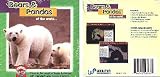 Bears And Pandas Of The World (PC CDROM)