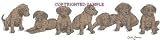 Chesapeake - Puppies in a Row by Cindy Farmer
