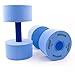 Exervo Aqua Fitness Water Dumbbells, Medium Resistance, Pair