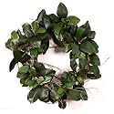Magnolia Wreath - 22 " Faux Magnolia Wreath
